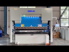 Elektrisch-Servo-Hybrid-CNC-Druckbremse